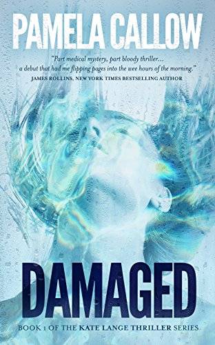 DAMAGED: A Kate Lange Thriller