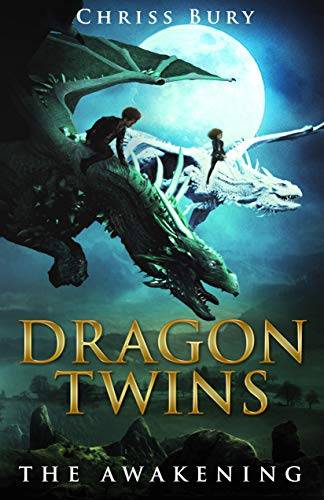 Dragon Twins : The Awakening