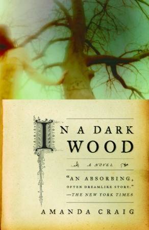 In a Dark Wood: A Novel