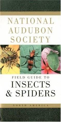 National Audubon Society Field Guide to North American Insects and Spiders