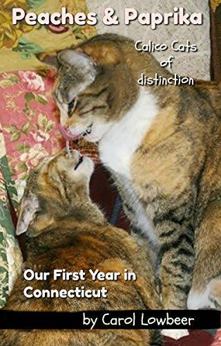 Peaches & Paprika, Calico Cats of Distinction: Our First Year in Connecticut