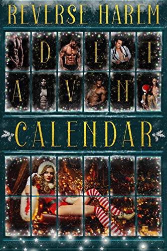 Reverse Harem Advent Calendar: 2020 Edition
