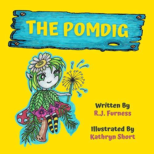 The Pomdig